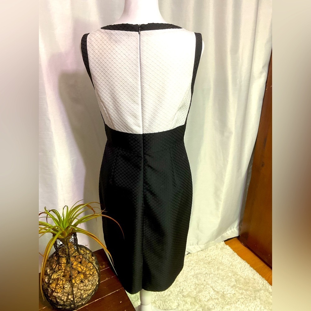 Tahari ASL Dress - Picture 9 of 14